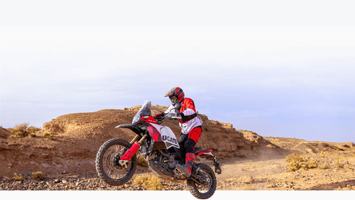 Ducati DesertX Rally Version Launched in India at Rs 23.7 Lakh
