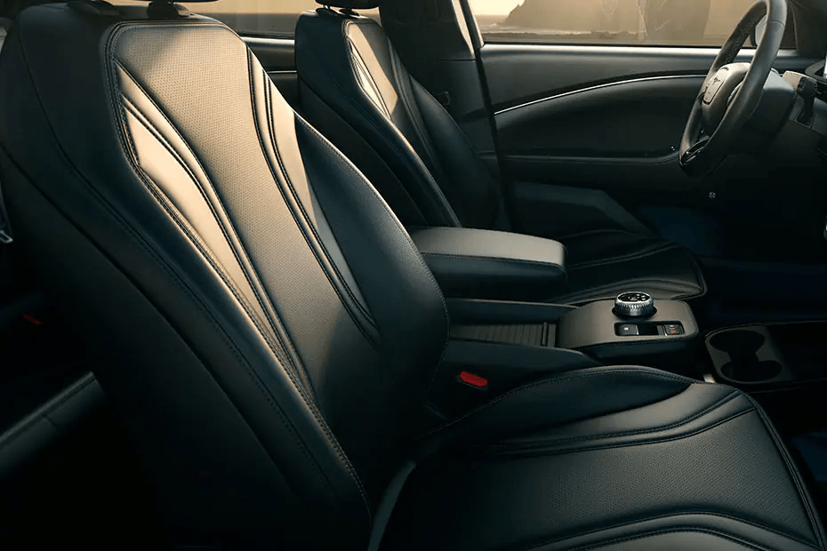 Ford Mustang Mach E Door View of Driver Seat