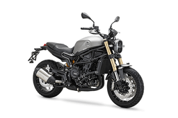Benelli Leoncino 800