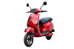 NIJ Automotive Flion
