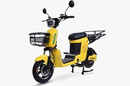 Techo Electra Saathi