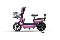 Warivo Motors Smarty