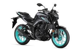 Yamaha MT 03