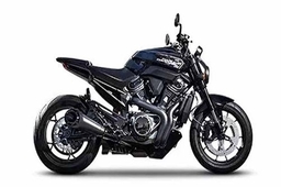 Harley-Davidson Streetfighter 975