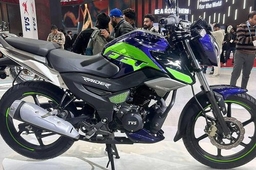 TVS Raider 125 Flex-Fuel