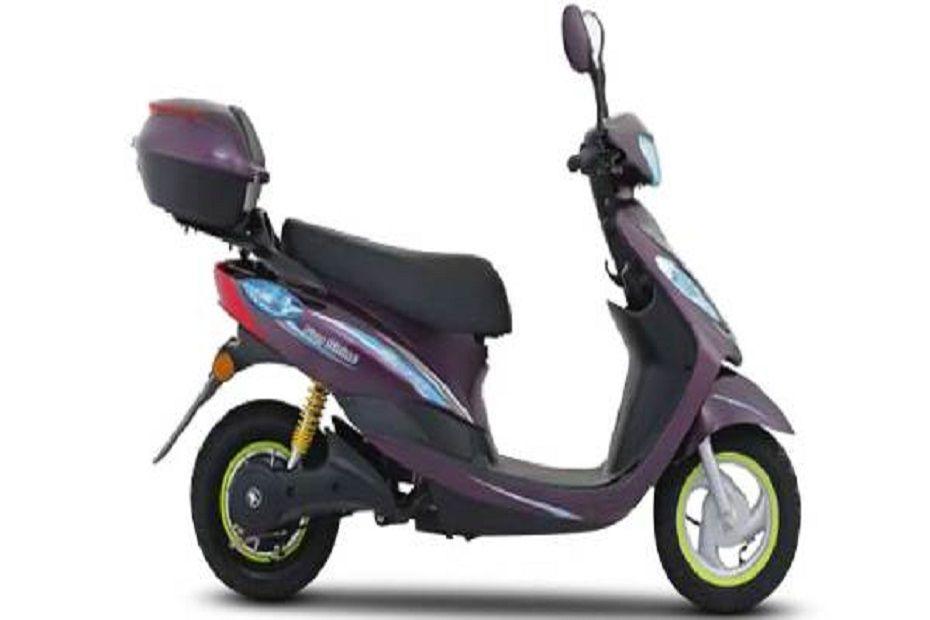 Palatino Sunshine - Violet
