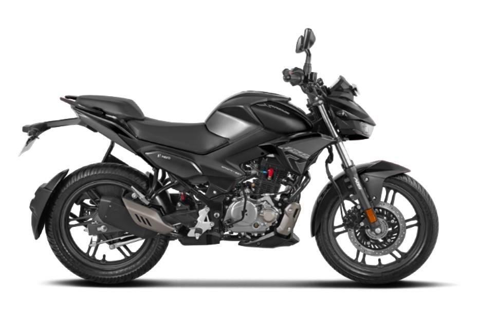 Stallion black