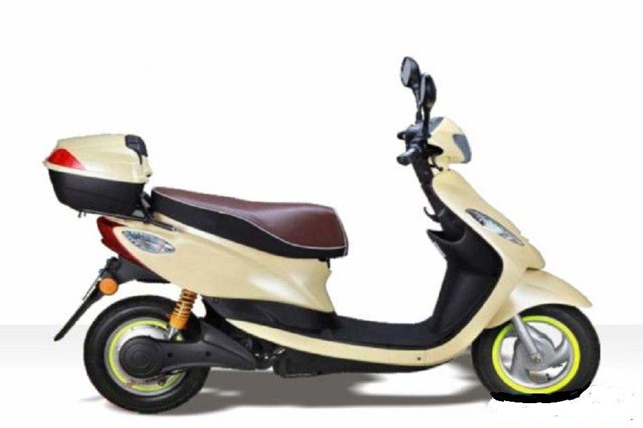 Palatino Sunshine - Cream