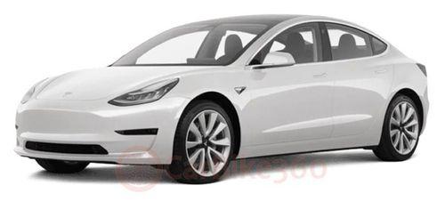 Tesla Model 3 cars