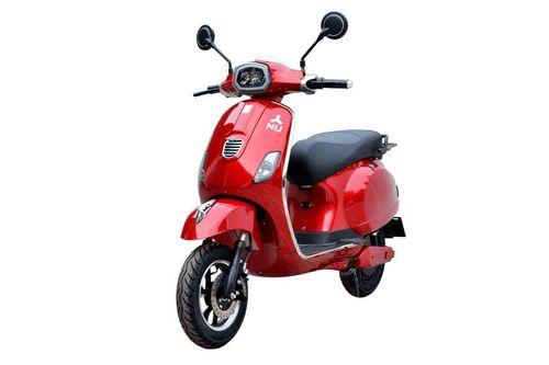 NIJ Automotive Flion scooters