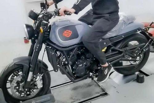 Harley-Davidson Sportster 500 bikes