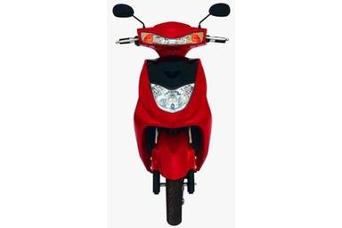 Rider