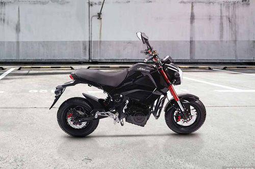 Joy e-bike Monster bikes