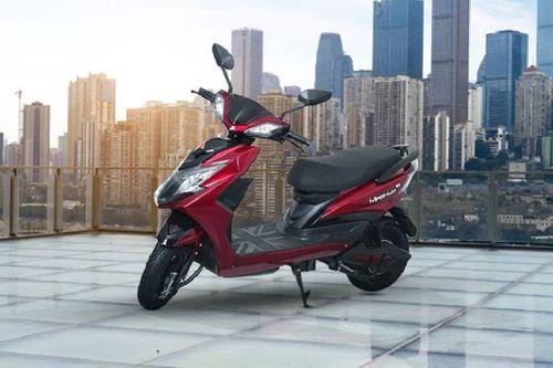 Kyte Energy Magnum Pro scooters