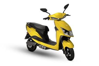 L25