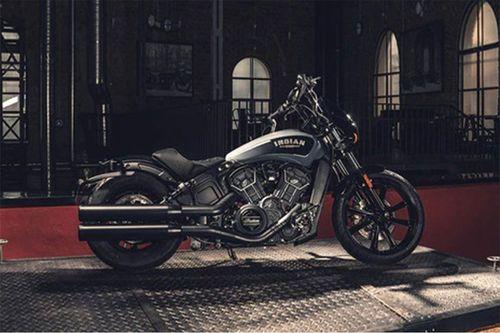 Indian Scout Rogue bikes