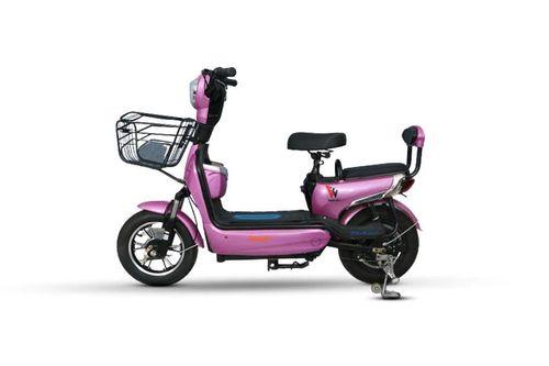 Warivo Motors Smarty scooters