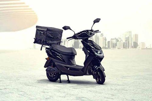 Joy e-bike Del Go