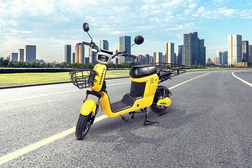 Hayasa Nirbhar scooters