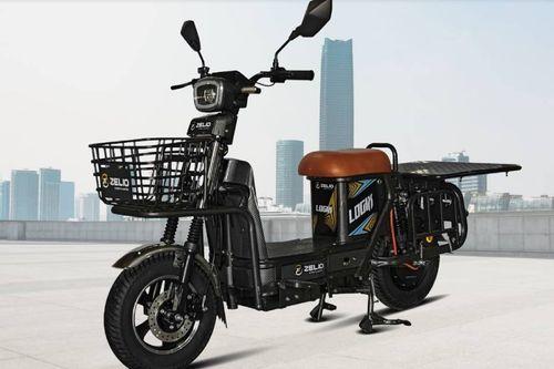 ज़ेलियो लॉजिक्स scooters