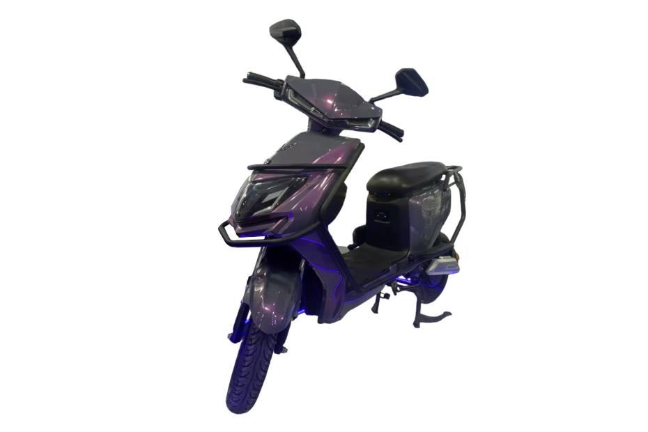 Vegh Driev Front View